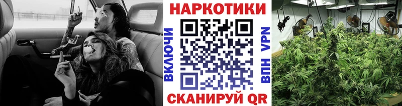 Купить закладку Альфа ПВП  МАРИХУАНА  Меф мяу мяу  ГАШ  Барабинск