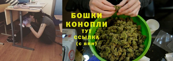 крисы Куйбышев