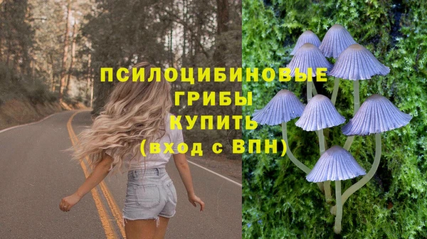 крисы Куйбышев