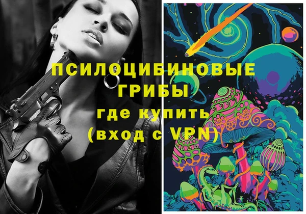 a pvp Краснослободск