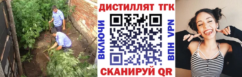 Купить  Барабинск  ТГК концентрат 